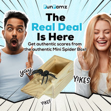 Load image into Gallery viewer, The FunFamz Mini Original Spider Prank Box