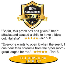 Load image into Gallery viewer, Customer reviews and satisfaction guarantee graphic for the FunFamz spider prank box