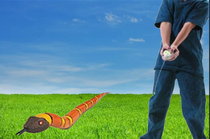 Don't Miss a Slither: A Review of the Best Remote Control Snake