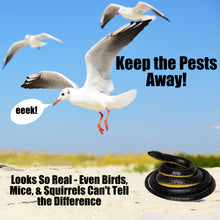 Load image into Gallery viewer, The FunFamz Original Fake Snake Toy Pack - Realistic Rubber Snakes &amp; Plastic Snake Prank Toy
